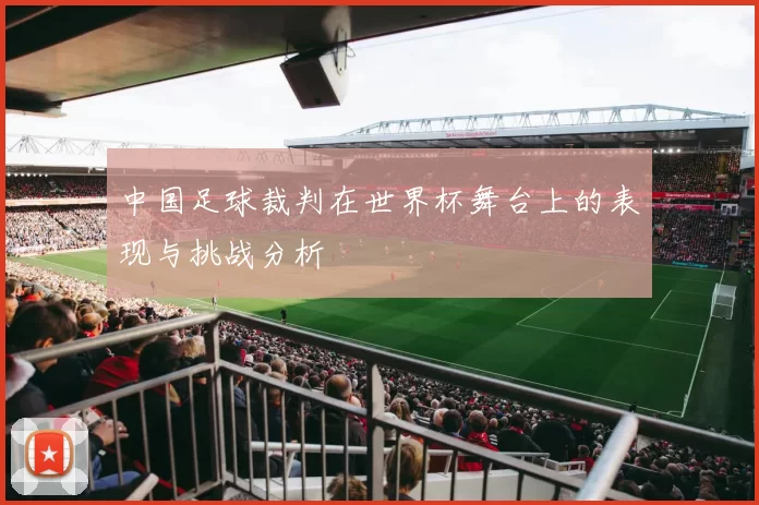 中国足球裁判在世界杯舞台上的表现与挑战分析