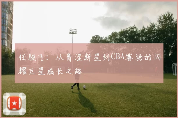 任骏飞：从青涩新星到CBA赛场的闪耀巨星成长之路