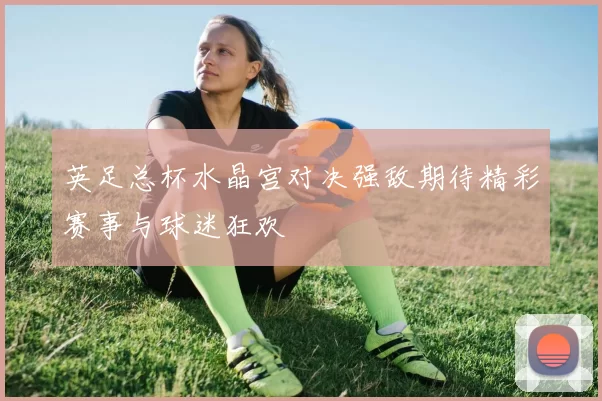 英足总杯水晶宫对决强敌期待精彩赛事与球迷狂欢