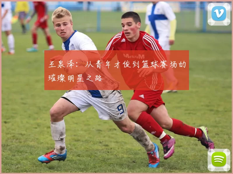 王泉泽：从青年才俊到篮球赛场的璀璨明星之路