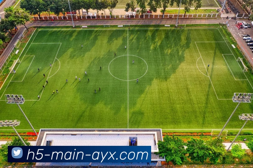 爱游戏平台生态图